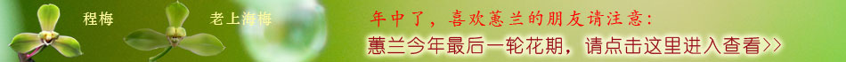 ޥ��
