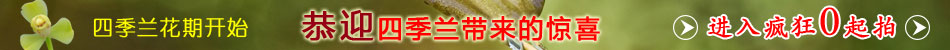 �ļ���