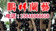 �i���mˇ